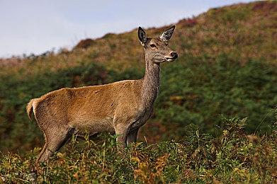 TGA 2023： 《漫威刀锋战士》预告公布